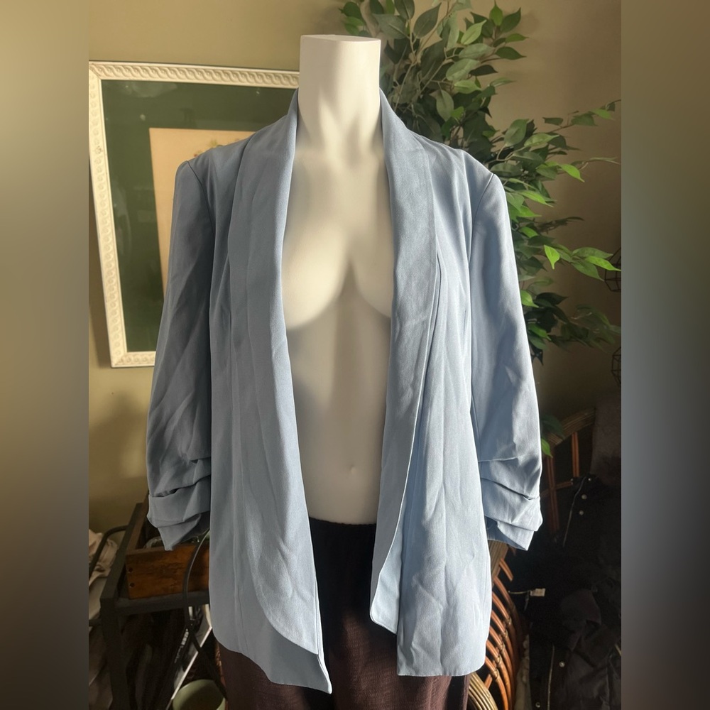 Babaton Blazer - Picture 2 of 6